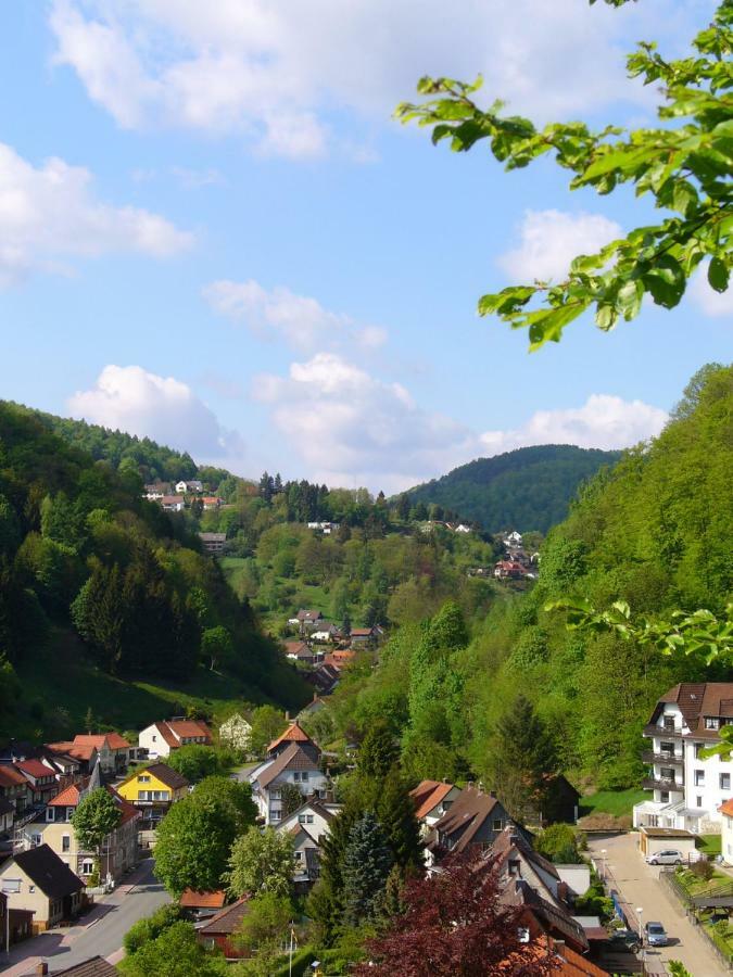 Landhaus Kathrin Walkenried Zewnętrze zdjęcie